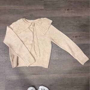 Collared Mango Sweater